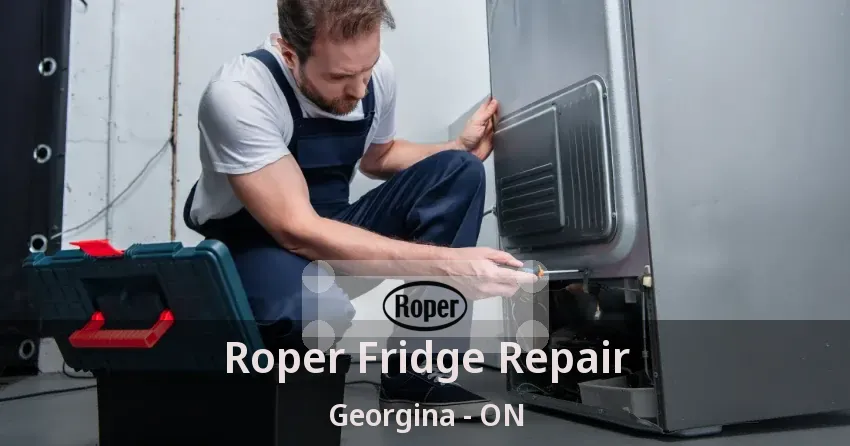 Roper Fridge Repair Georgina - ON