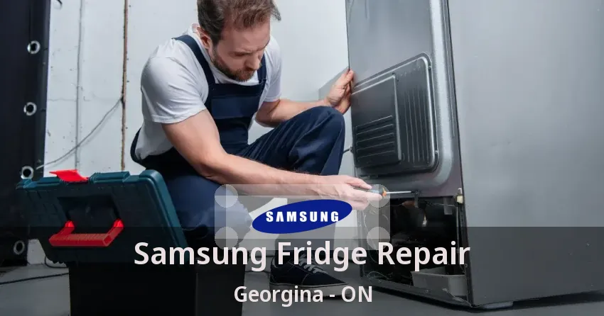 Samsung Fridge Repair Georgina - ON
