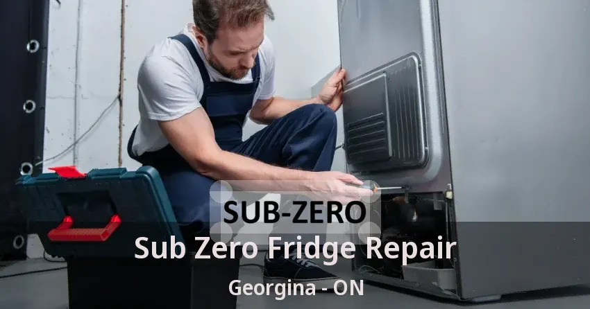 Sub Zero Fridge Repair Georgina - ON