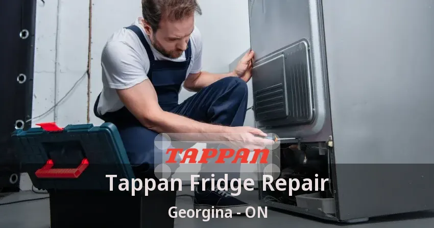 Tappan Fridge Repair Georgina - ON