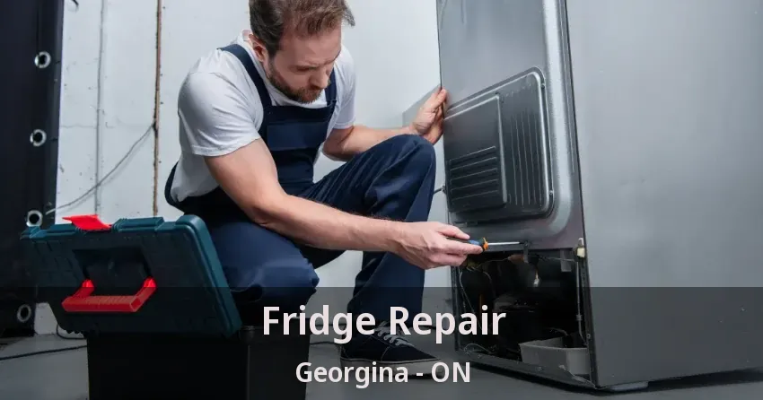 Fridge Repair Georgina - ON
