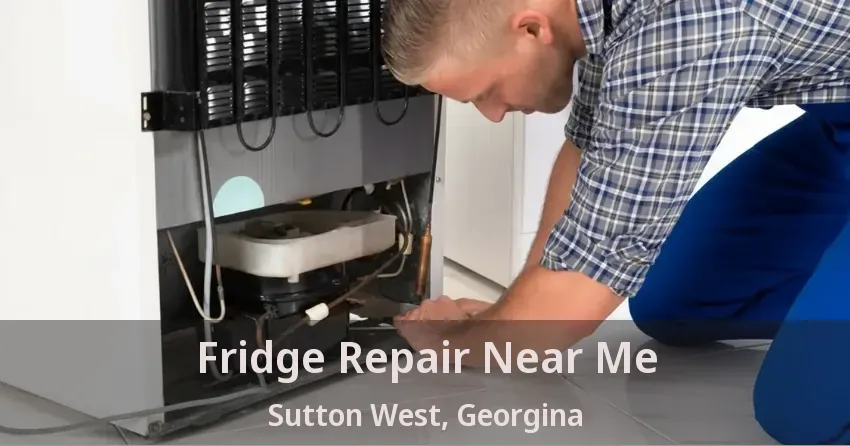 Fridge Repair Near Me Sutton West, Georgina - ON