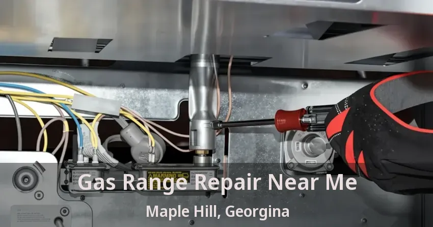 Gas Range Repair Near Me Maple Hill, Georgina - ON
