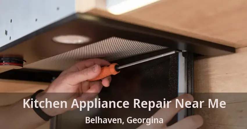 Kitchen Appliance Repair Near Me Belhaven, Georgina - ON
