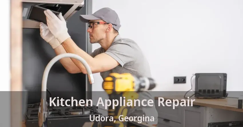 Kitchen Appliance Repair Udora, Georgina - ON