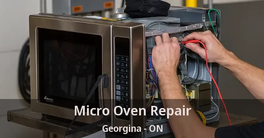 Micro Oven Repair Georgina - ON