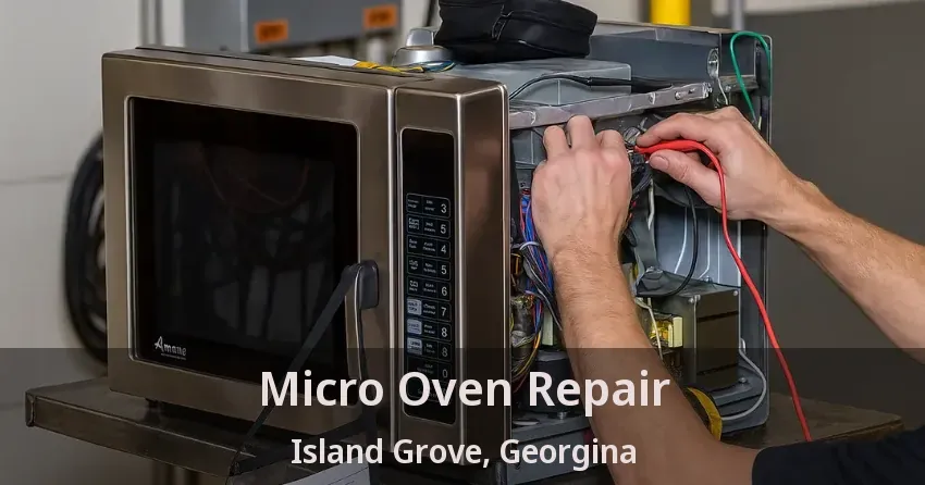 Micro Oven Repair Island Grove, Georgina - ON
