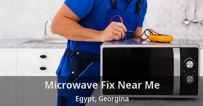 Microwave Fix Near Me Egypt, Georgina - ON