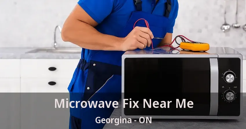 Microwave Fix Near Me Georgina - ON