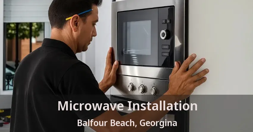 Microwave Installation Balfour Beach, Georgina - ON