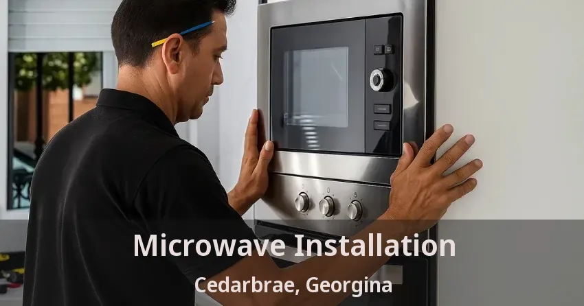 Microwave Installation Cedarbrae, Georgina - ON