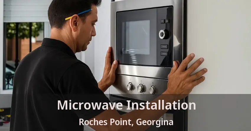 Microwave Installation Roches Point, Georgina - ON