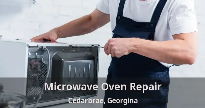 Microwave Oven Repair Cedarbrae, Georgina - ON