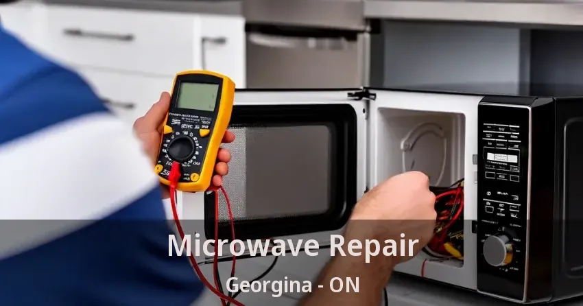 Microwave Repair Georgina - ON