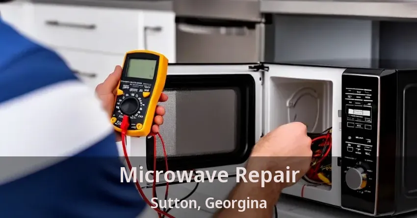 Microwave Repair Sutton, Georgina - ON