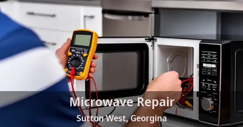 Microwave Repair Sutton West, Georgina - ON