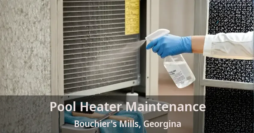 Pool Heater Maintenance Bouchier's Mills, Georgina - ON