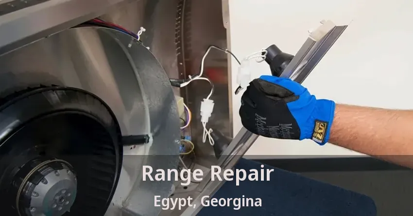 Range Repair Egypt, Georgina - ON