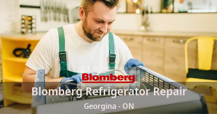 Blomberg Refrigerator Repair Georgina - ON