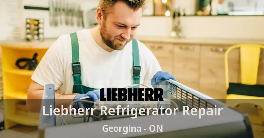 Liebherr Refrigerator Repair Georgina - ON