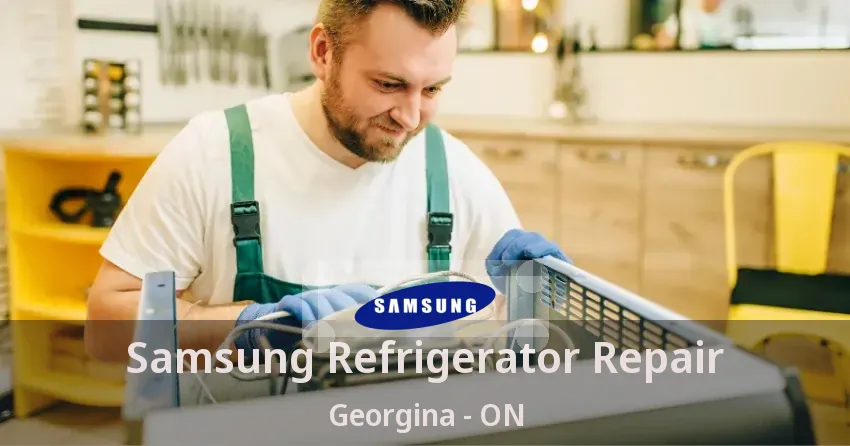 Samsung Refrigerator Repair Georgina - ON