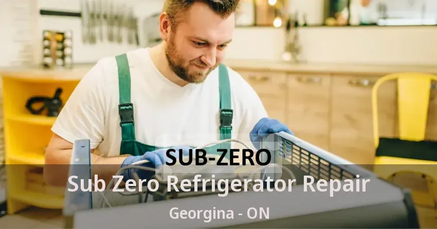 Sub Zero Refrigerator Repair Georgina - ON