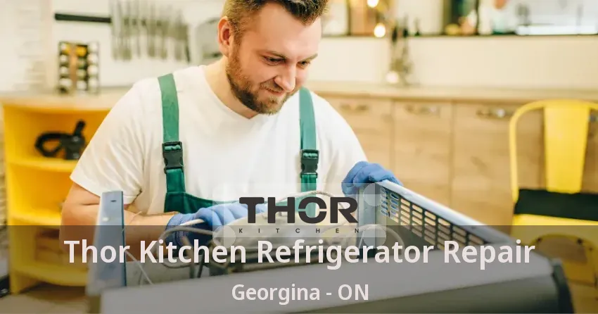 Thor Kitchen Refrigerator Repair Georgina - ON