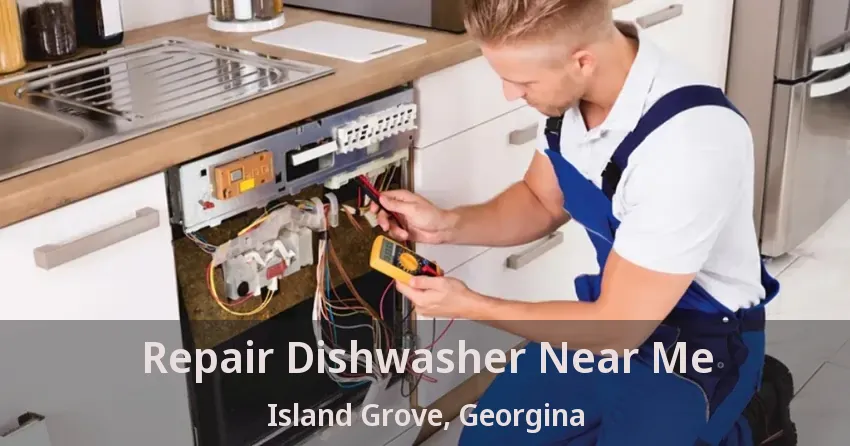 Repair Dishwasher Near Me Island Grove, Georgina - ON