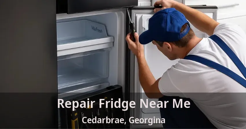 Repair Fridge Near Me Cedarbrae, Georgina - ON