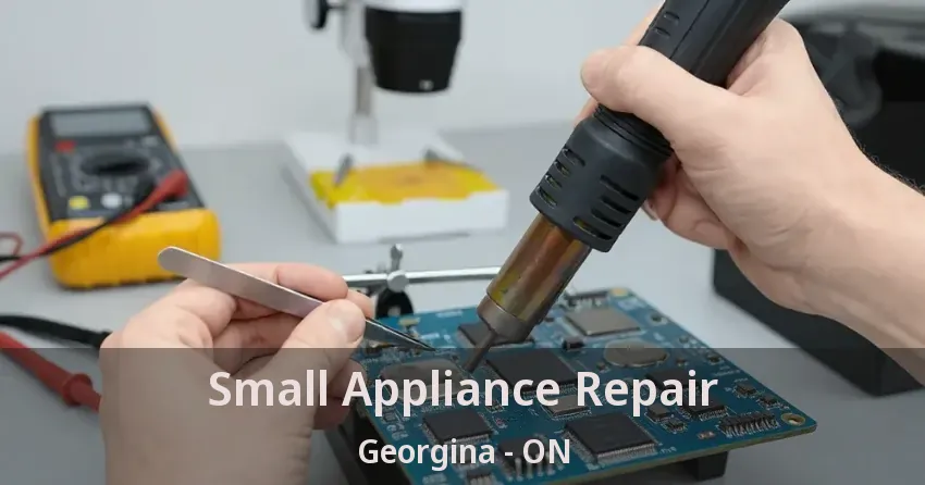 Small Appliance Repair Georgina - ON