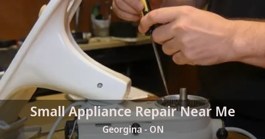 Small Appliance Repair Near Me Georgina - ON