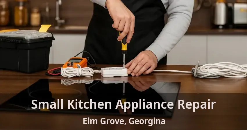 Small Kitchen Appliance Repair Elm Grove, Georgina - ON