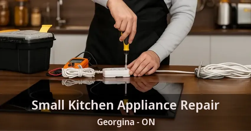 Small Kitchen Appliance Repair Georgina - ON