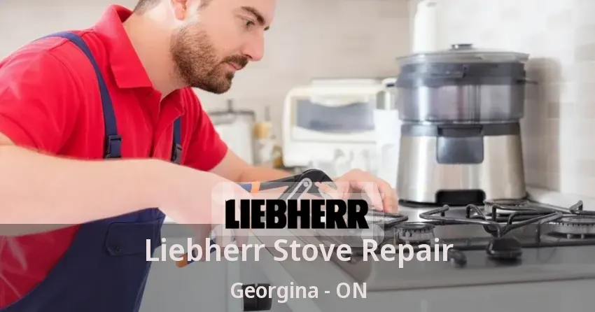 Liebherr Stove Repair Georgina - ON