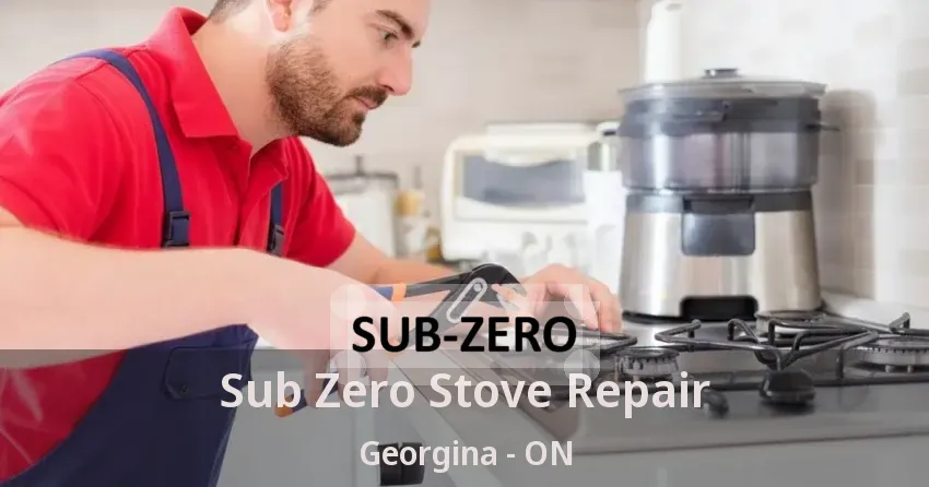 Sub Zero Stove Repair Georgina - ON