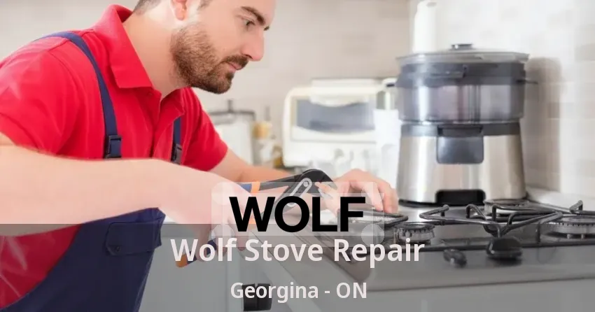 Wolf Stove Repair Georgina - ON