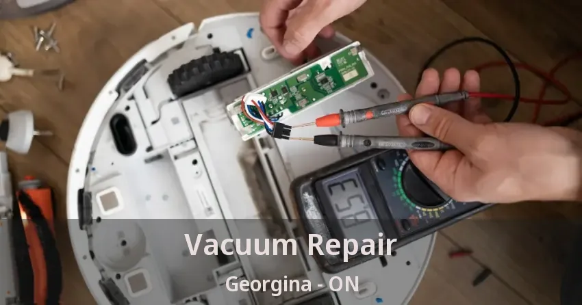 Vacuum Repair Georgina - ON