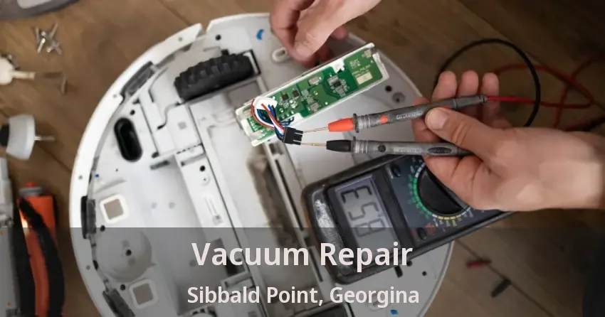 Vacuum Repair Sibbald Point, Georgina - ON