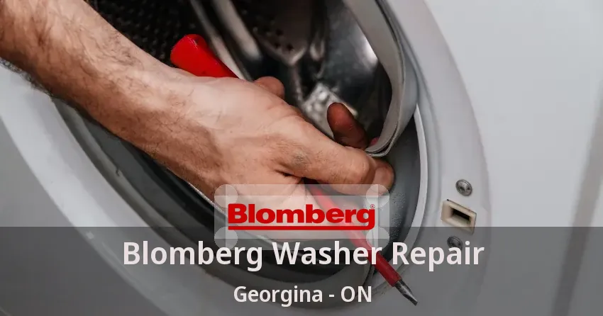 Blomberg Washer Repair Georgina - ON