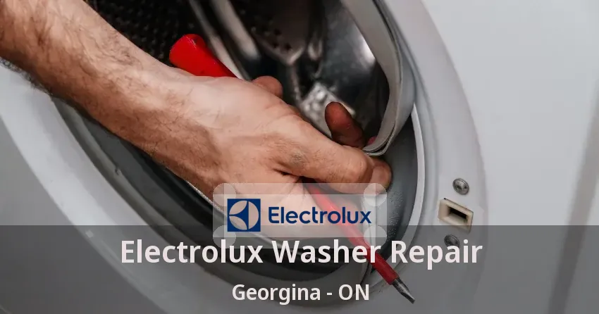 Electrolux Washer Repair Georgina - ON