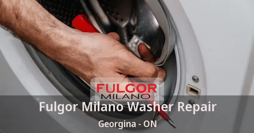 Fulgor Milano Washer Repair Georgina - ON