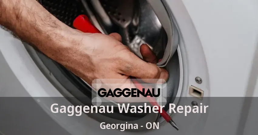 Gaggenau Washer Repair Georgina - ON