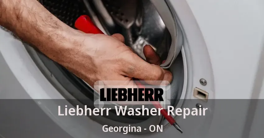 Liebherr Washer Repair Georgina - ON