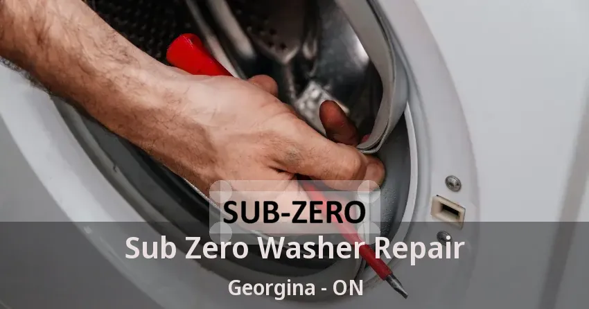Sub Zero Washer Repair Georgina - ON