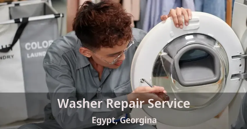 Washer Repair Service Egypt, Georgina - ON
