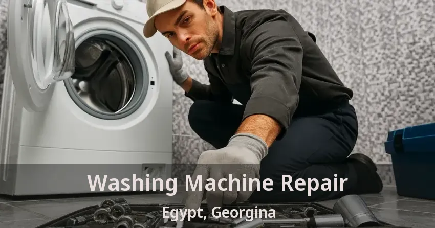 Washing Machine Repair Egypt, Georgina - ON